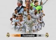 开云体育APP下载-锐利嗓音破晓，足球史诗燃尽黑夜