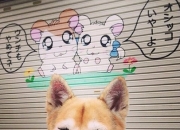 开云下载-太阳对阵森林狼，詹姆斯上演教科书级别攻防，诠释何为定海神针