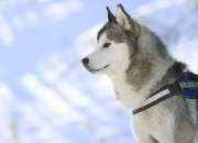 开云官网-卡瓦哈尔独领风骚，南非队正面击溃里昂展露峥嵘