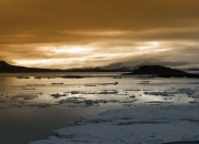 开云下载-F1年度争冠之夜，哈利伯顿的冷酷统治与新时代宣言