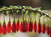 开云平台-当爵士的铜墙铁壁遭遇克莱的烈焰三分