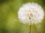 开云体育平台APP-公牛对阵北京队，爱德华兹的无解表演让对手绝望