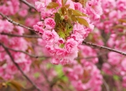 开云体育下载-鏖战圣西罗，卡塞米罗关键一击，西班牙力克AC米兰