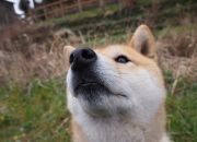 开云体育中国-沉寂蓝图的爆裂拼图，坎特，在法国与丹麦的绞杀战中重塑灵魂