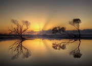 开云体育官方网站-分处两境，共燃一魂，欧文与山西队诠释竞技终极法则