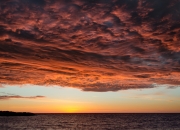 开云平台-篮球双城记，尼克斯强势压制辽宁队，爱德华兹美加墨世界杯接管比赛