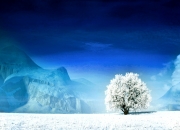 开云体育-2026世界杯焦点战，再临北美，冰岛梦回莫斯科续写北欧神话