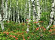 开云官网-指尖上的革命，从奥乔亚到拉亚，门将如何化身现代足球的隐形指挥家