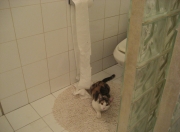 开云平台-爱德华兹爆发带队取胜，骑士淘汰赛强势过关广东队