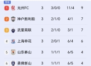 开云体育APP下载-上海绿地申花击败江苏苏宁，稳居积分榜前列的简单介绍