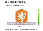 开云APP-荷兰队客场击败格鲁吉亚，小组第一稳固