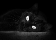 开云平台-纪录与压制，足球世界的两种美学叙事