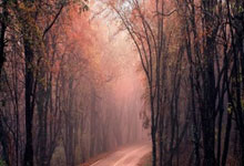 开云下载-蒙特雷体能训练升级，备战西悉尼流浪者半决赛