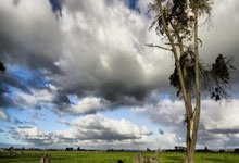 开云官网-北欧雄狮撕裂绿茵！挪威国家队战术进化论：胜利已成肌肉记忆