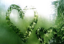 开云体育中国-威斯特法伦之夜！黄黑风暴撕碎巴黎幻梦，多特蒙德直通温布利王座战