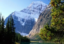 开云官网-北欧雄狮撕裂绿茵！挪威国家队战术进化论：胜利已成肌肉记忆