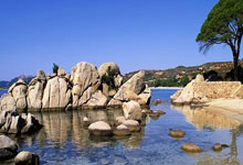 开云体育入口-客场屠城！恒大狂飙三连胜，特兰神话终结者名不虚传