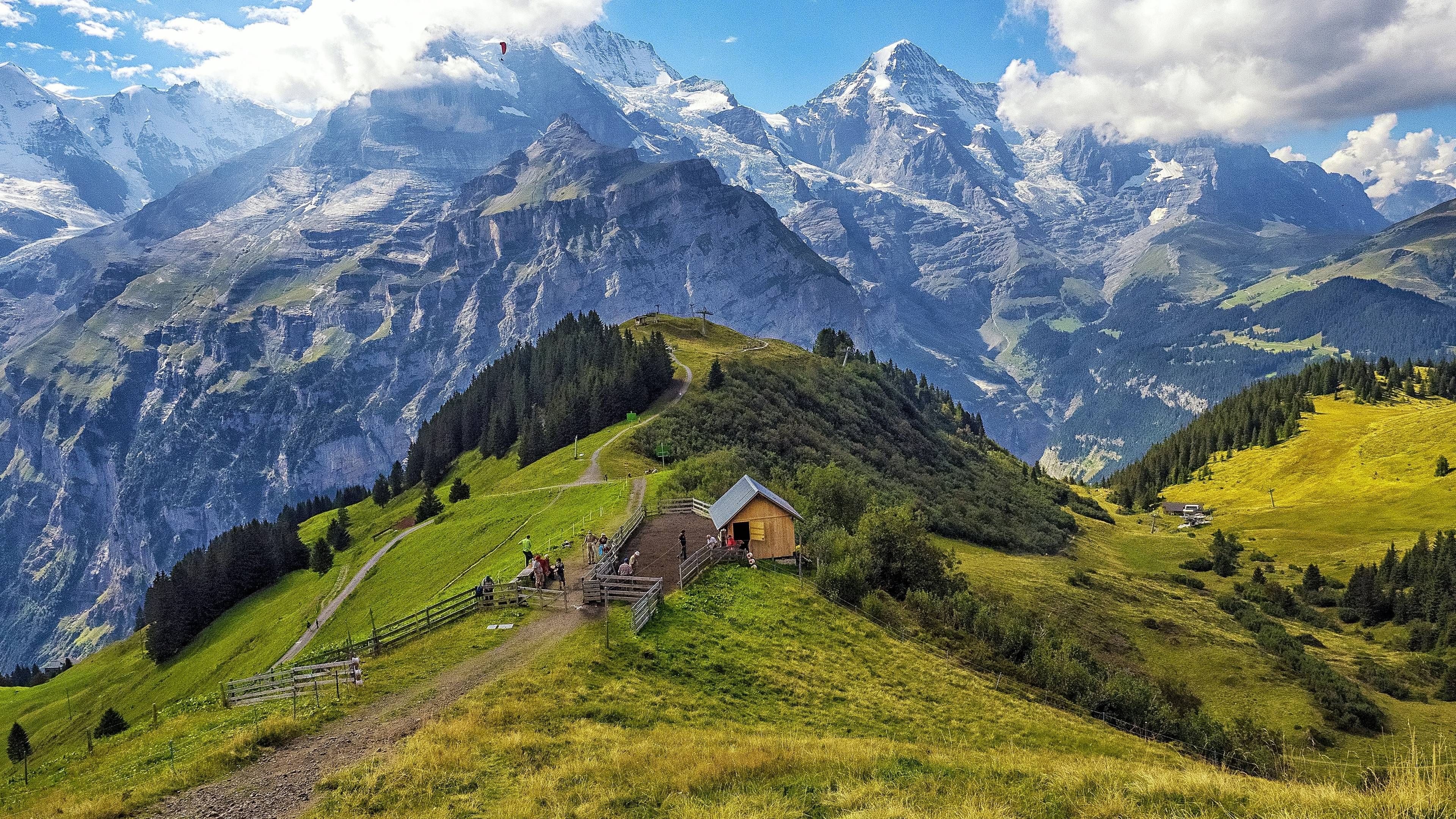 塞尔维亚男篮爆冷鹈鹕，瓦兰丘纳斯绝境逆转的简单介绍