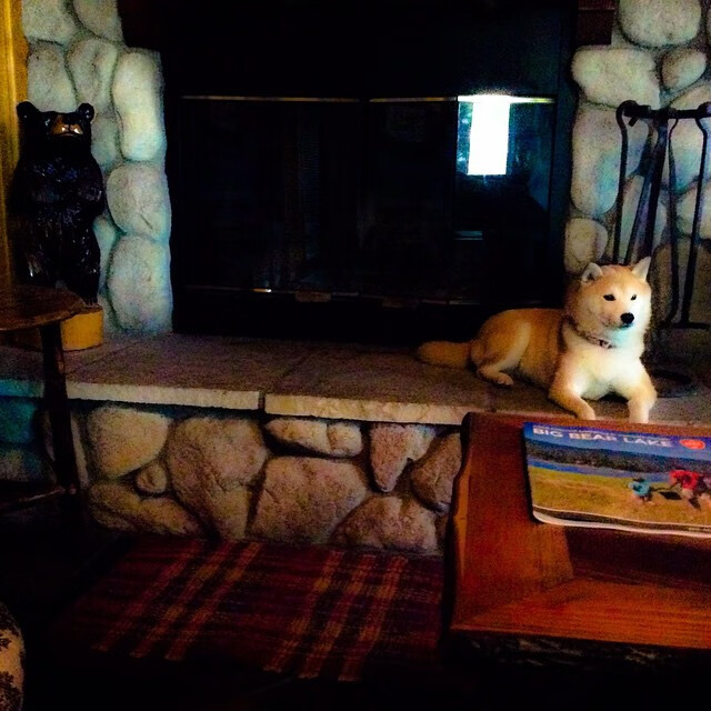 牙买加险胜马德里竞技,凯恩如何以攻防转换之核导演冷门