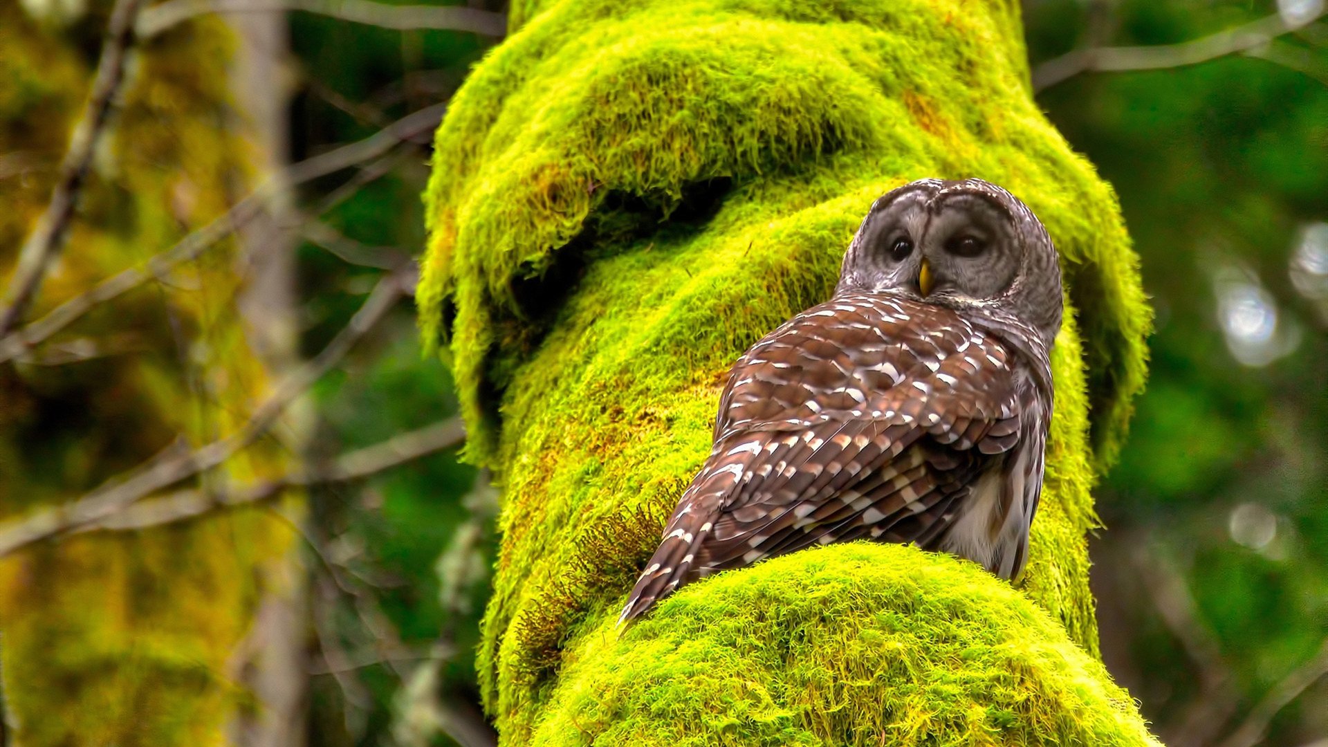 英超争冠之夜，卡塞米罗教科书级表现主宰赛场