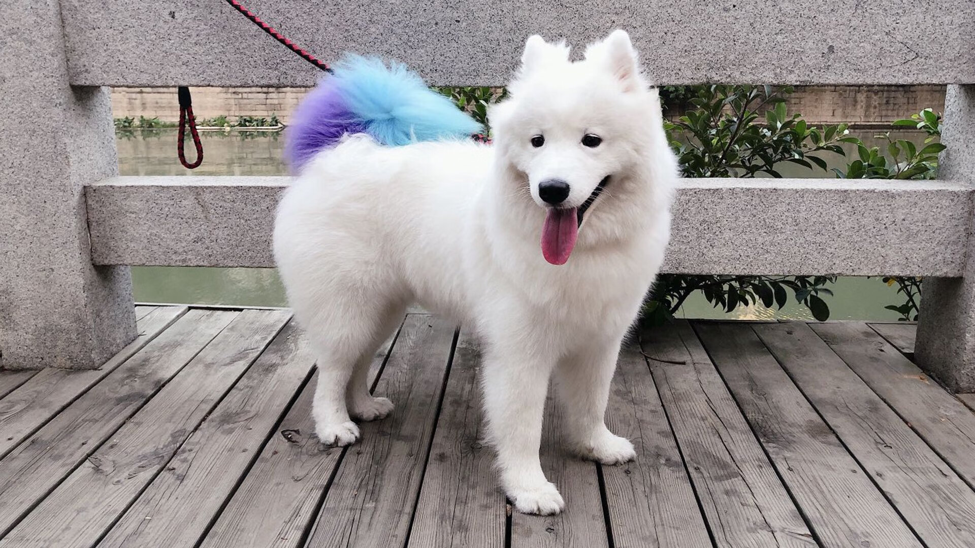 西亚卡姆彻底打爆防线！山西队对阵开拓者跨国对决纪实