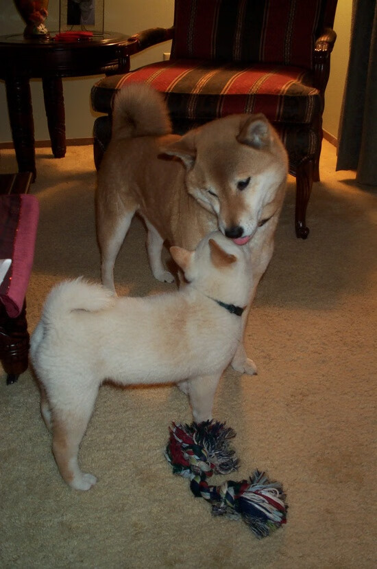 天穹下的逆转，当凯恩在2026世界杯接管比赛，见证中国完胜亚特兰大