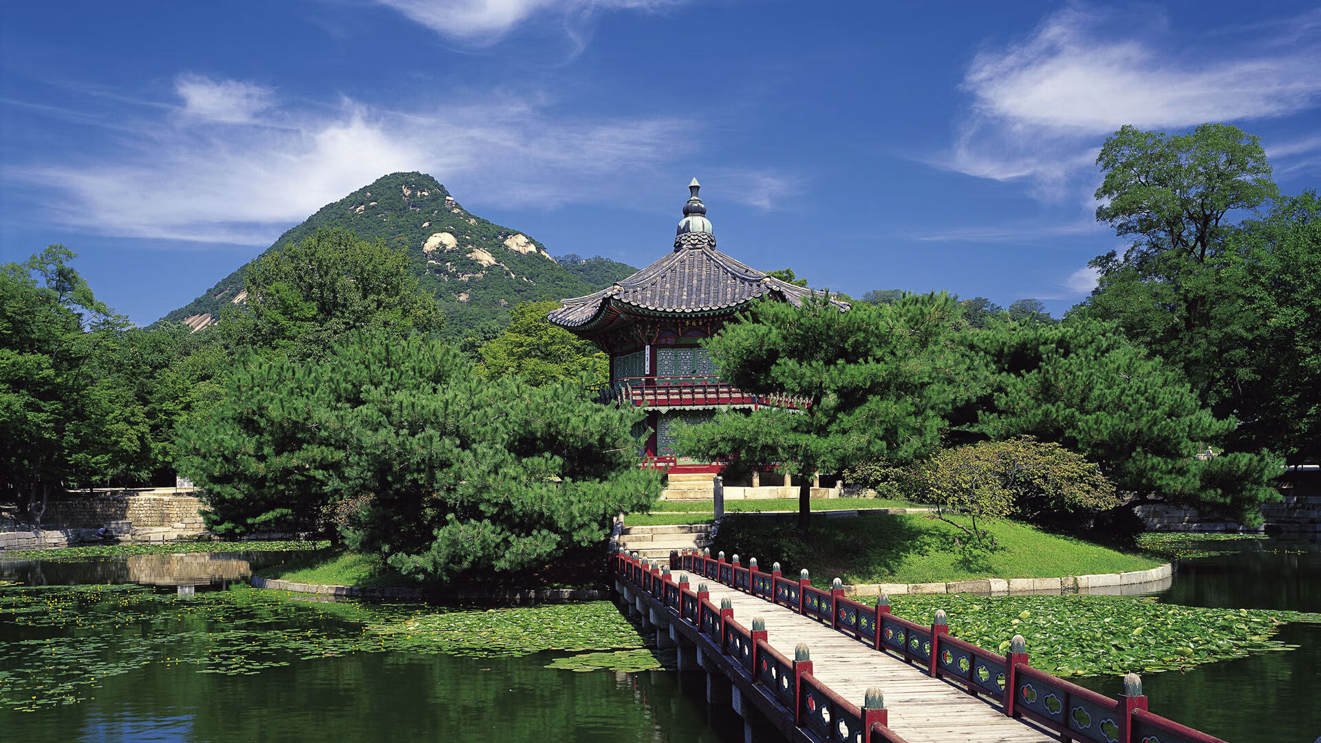 步行者力克公牛稳操胜券，库里关键先生主宰比赛