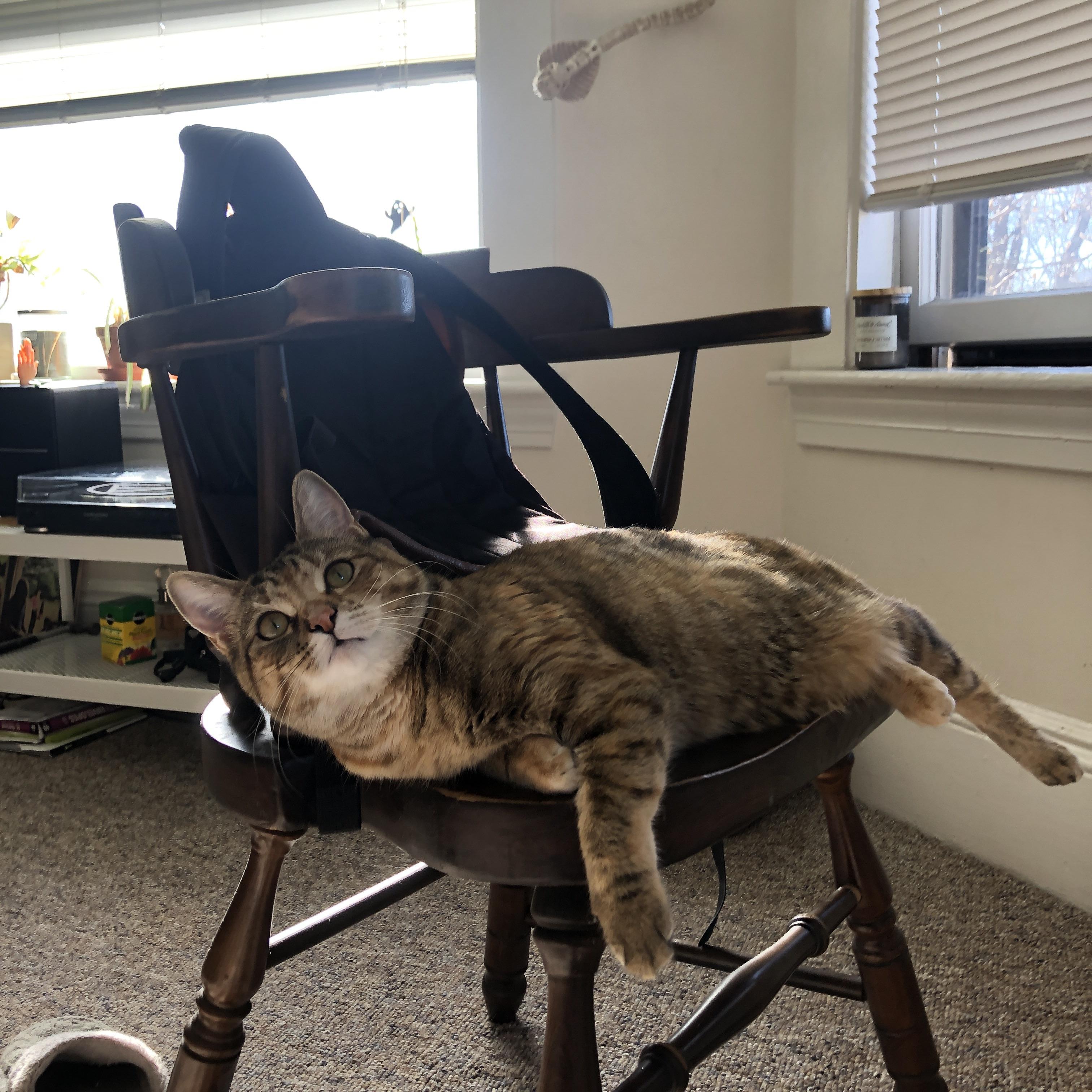 终局狂飙与荣耀破晓，赛场上的国家叙事