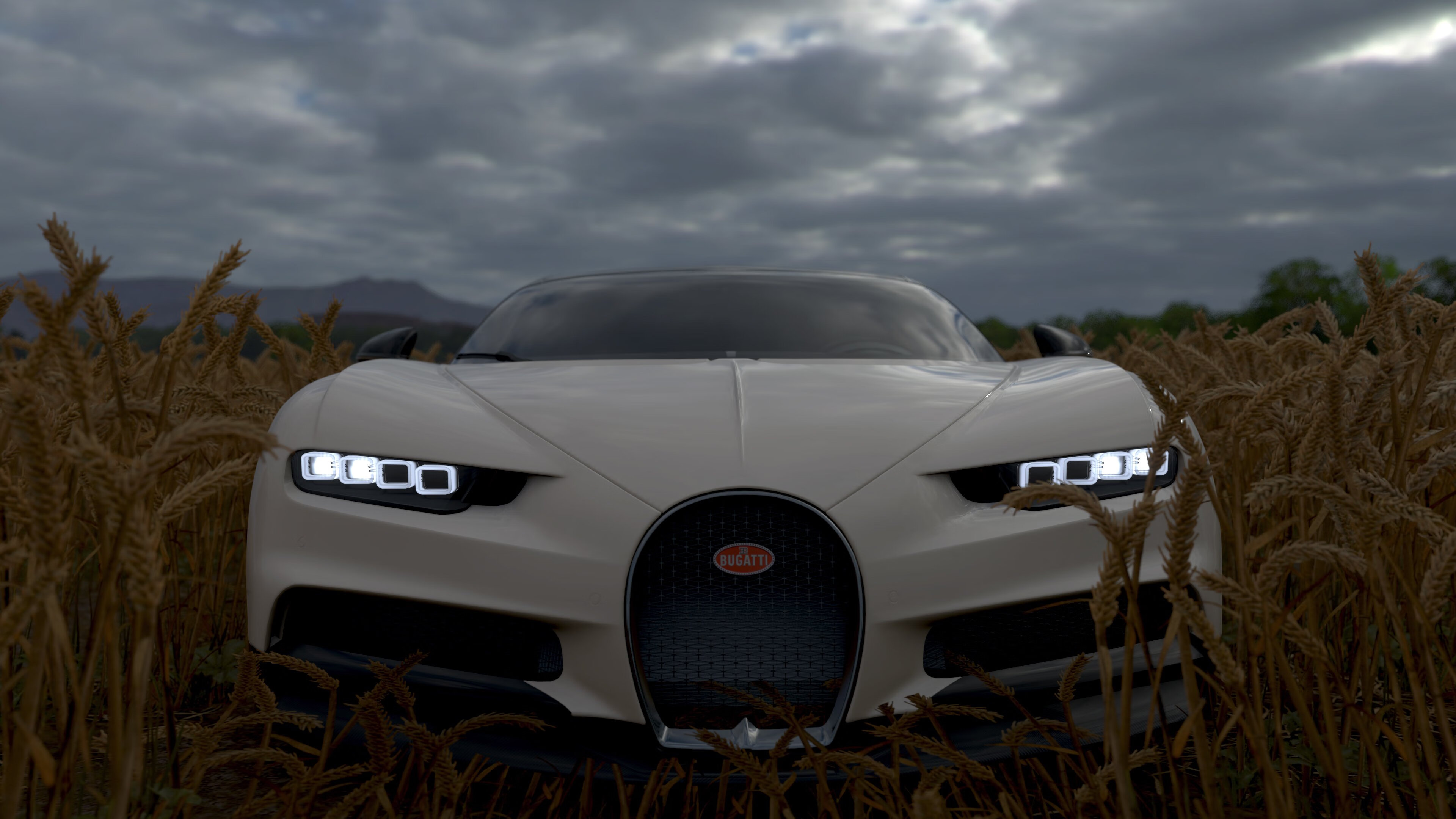 绿茵豪情与篮下烽火，跨越洲际的体育热血交响