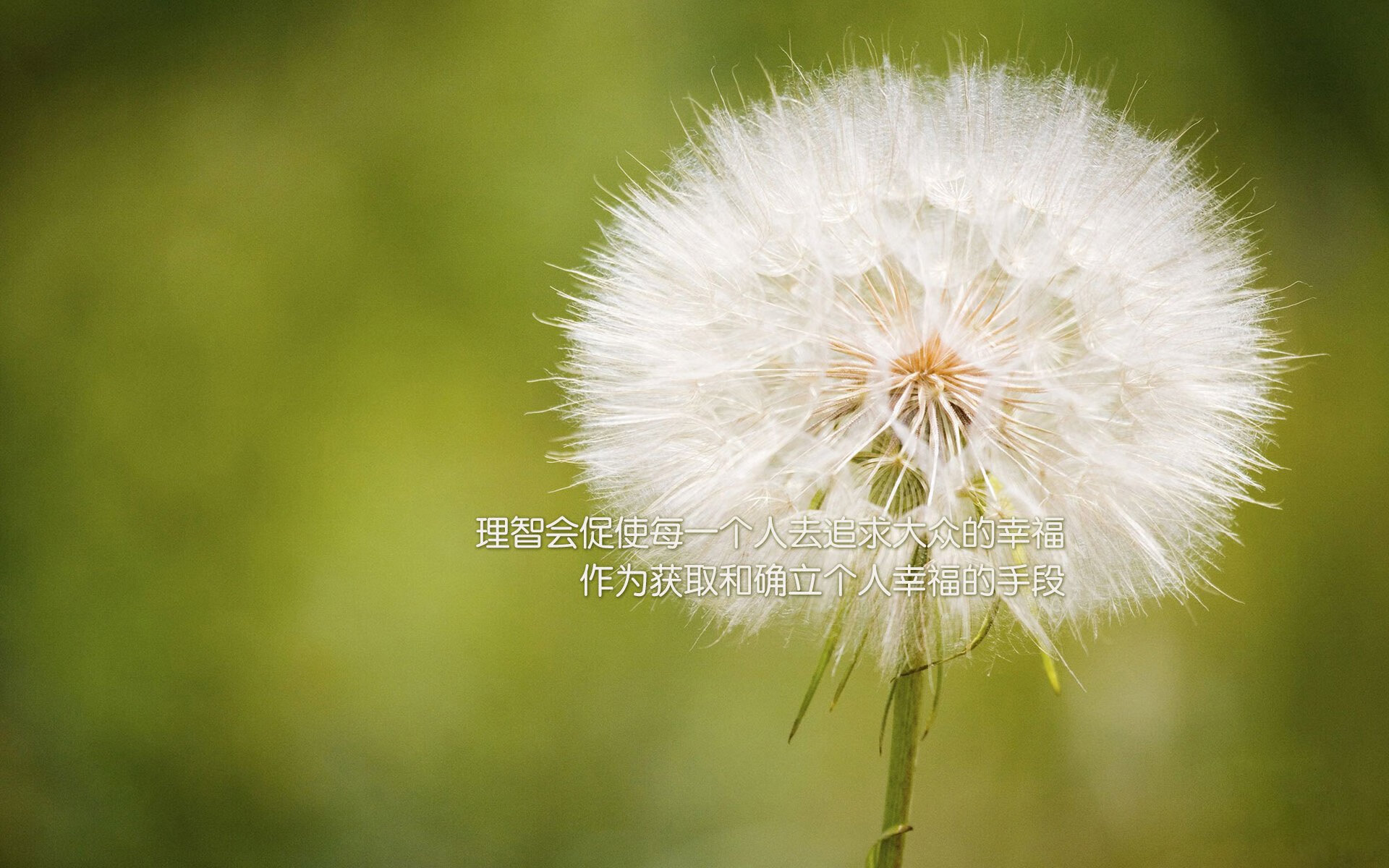 公牛对阵北京队，爱德华兹的无解表演让对手绝望