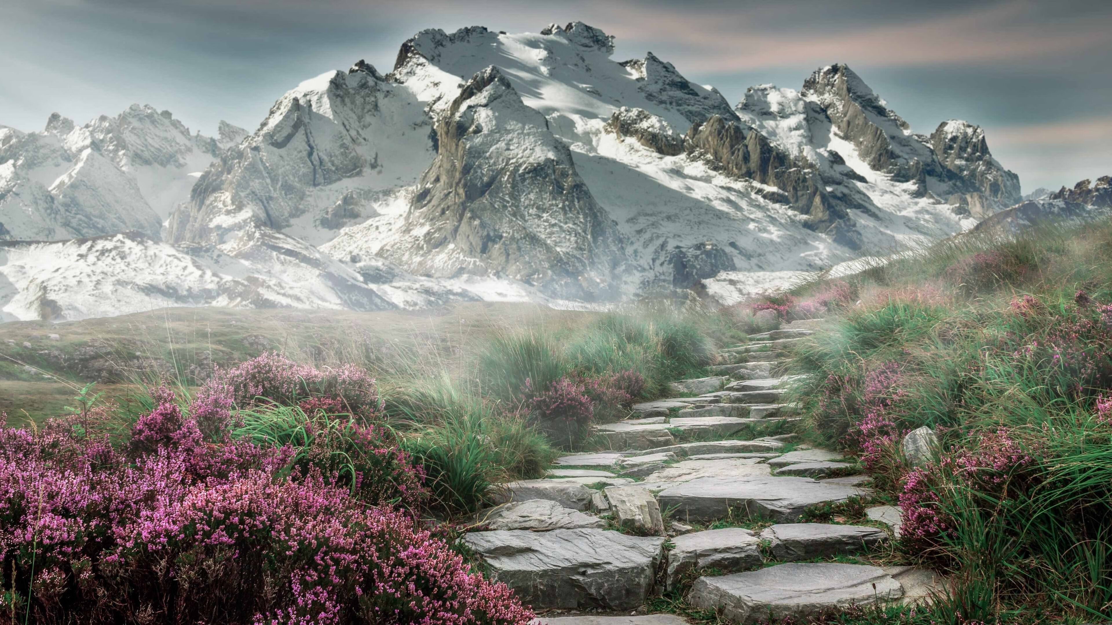 单节狂飙！76人神奇攻势拉开凯尔特人，布克关键先生本色尽显