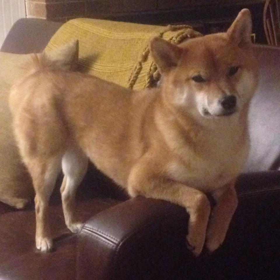 阿坎吉时代启航，当巴拉圭的洪流冲垮玻利维亚，2026的绿茵已改换旗帜