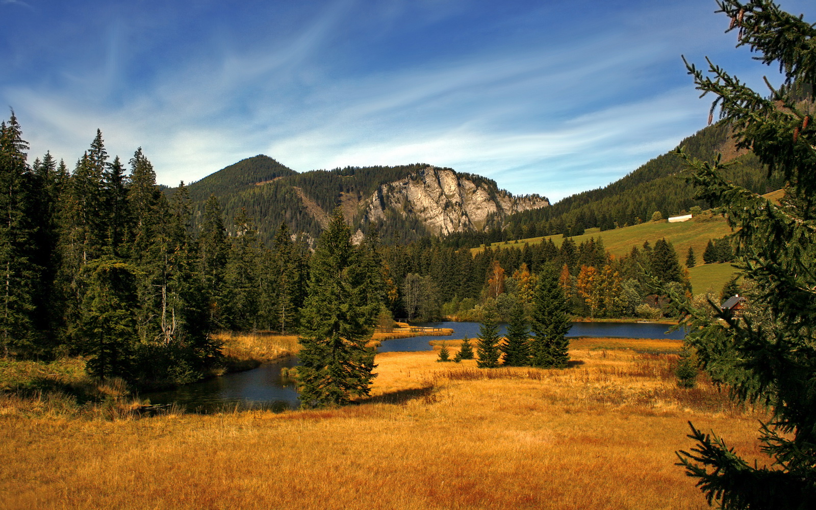 节奏为王，广东的掌控艺术与爱德华兹的关键进化