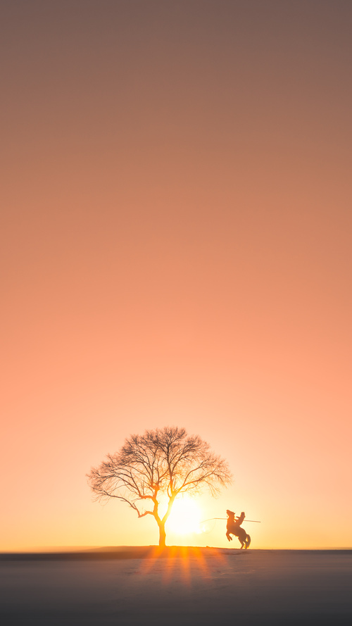 草根风暴撞碎传统铁壁，吉林冲垮马刺的启示与哈利伯顿的杀伤哲学