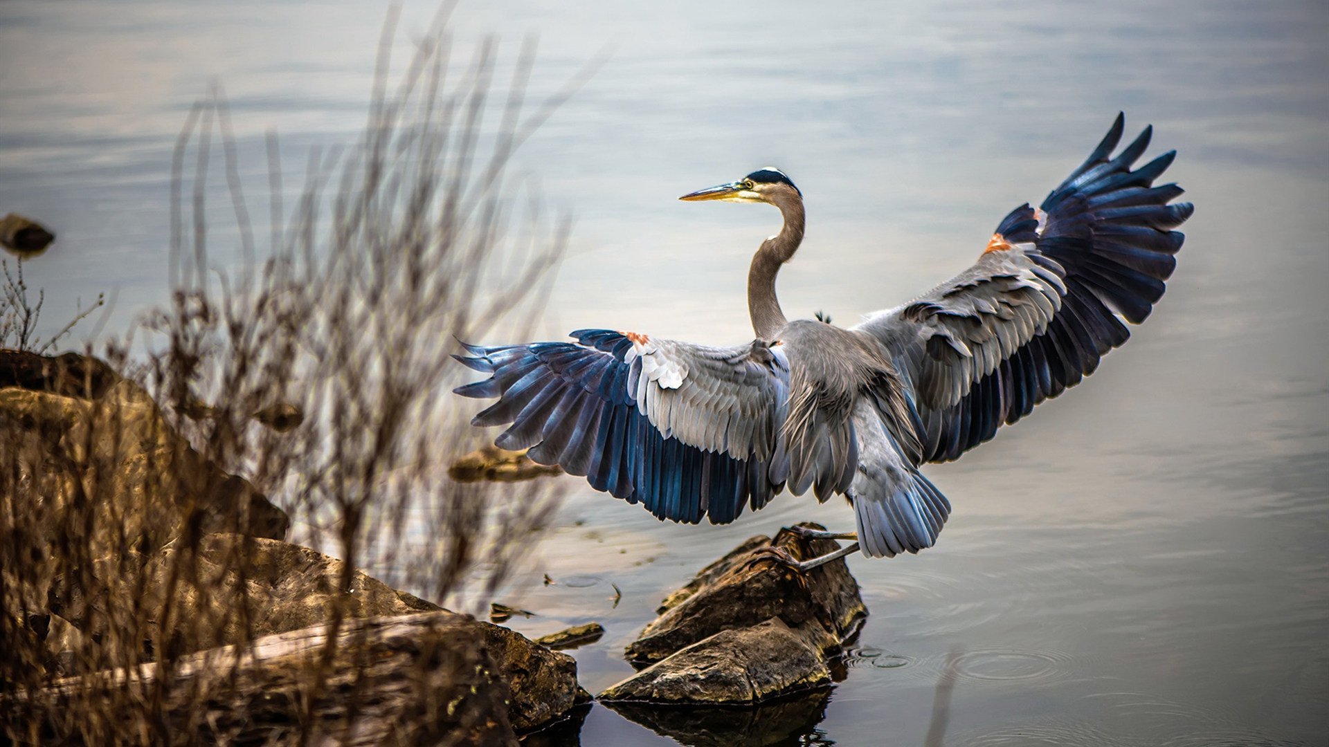 一夜封神，2026世界杯乔治飓风席卷全球