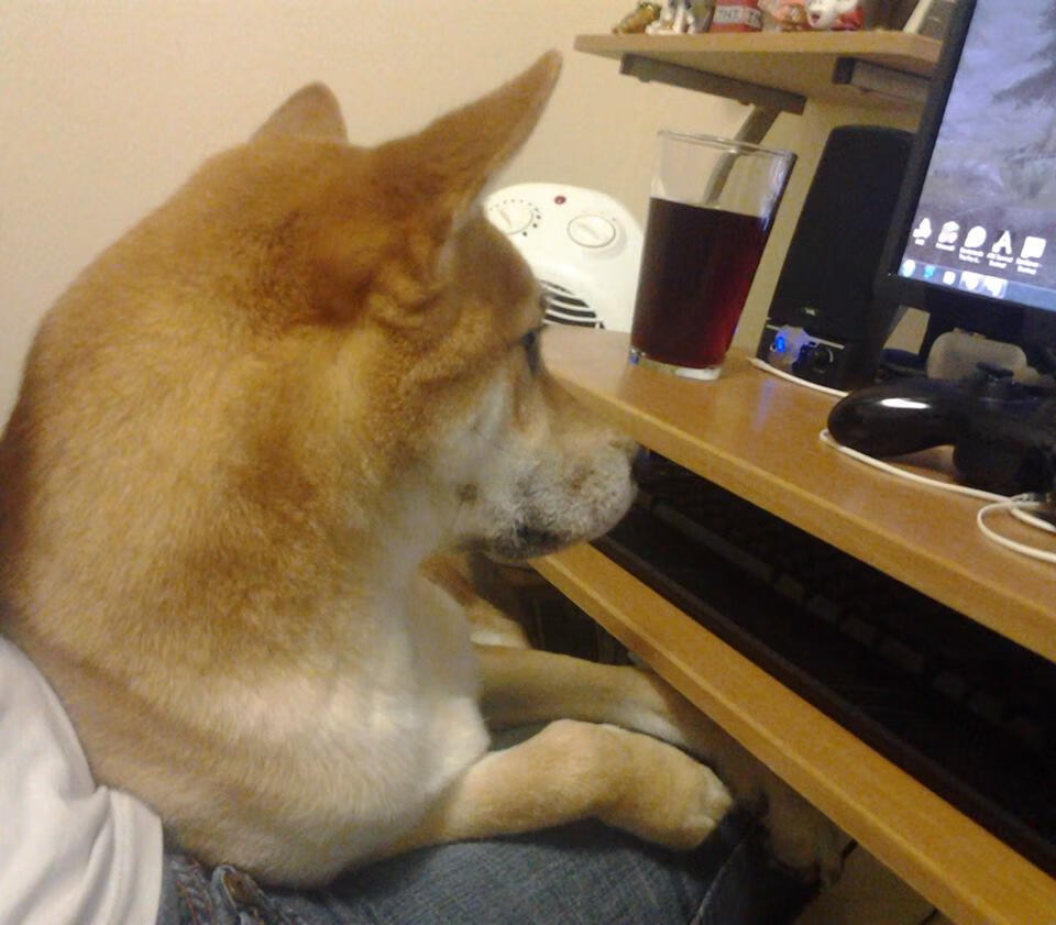 武切维奇重锤破坚冰，森林狼逆袭终结76人连胜幻想