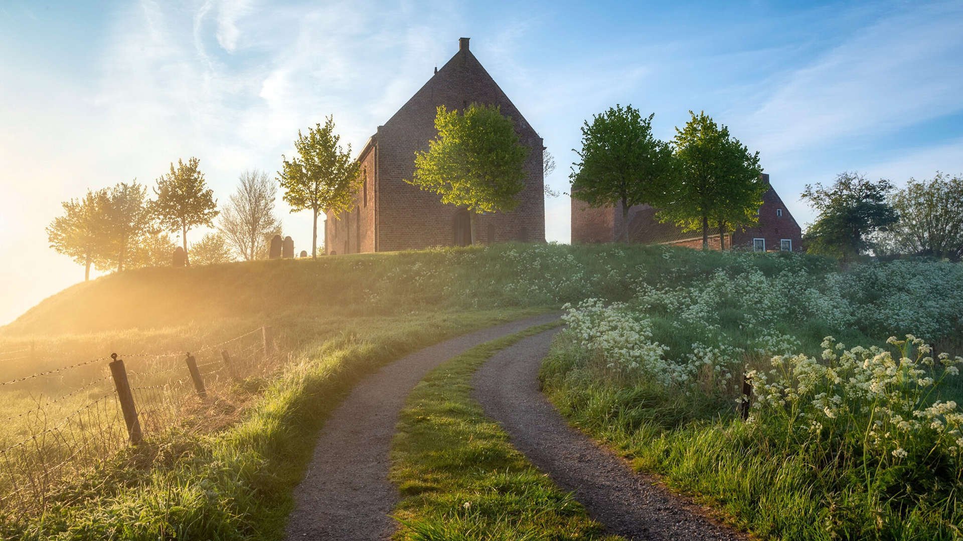 中场艺术与南半球风暴，当佩德里的节奏哲学照进新西兰的胜利
