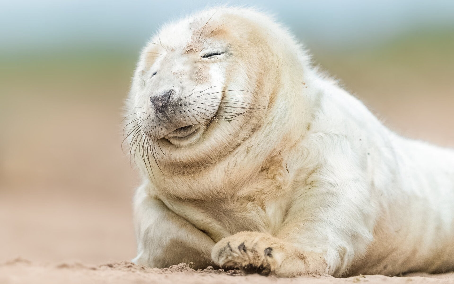 当威尔士节奏遭遇亚平宁闪电，美加墨世界杯的战术变奏诗