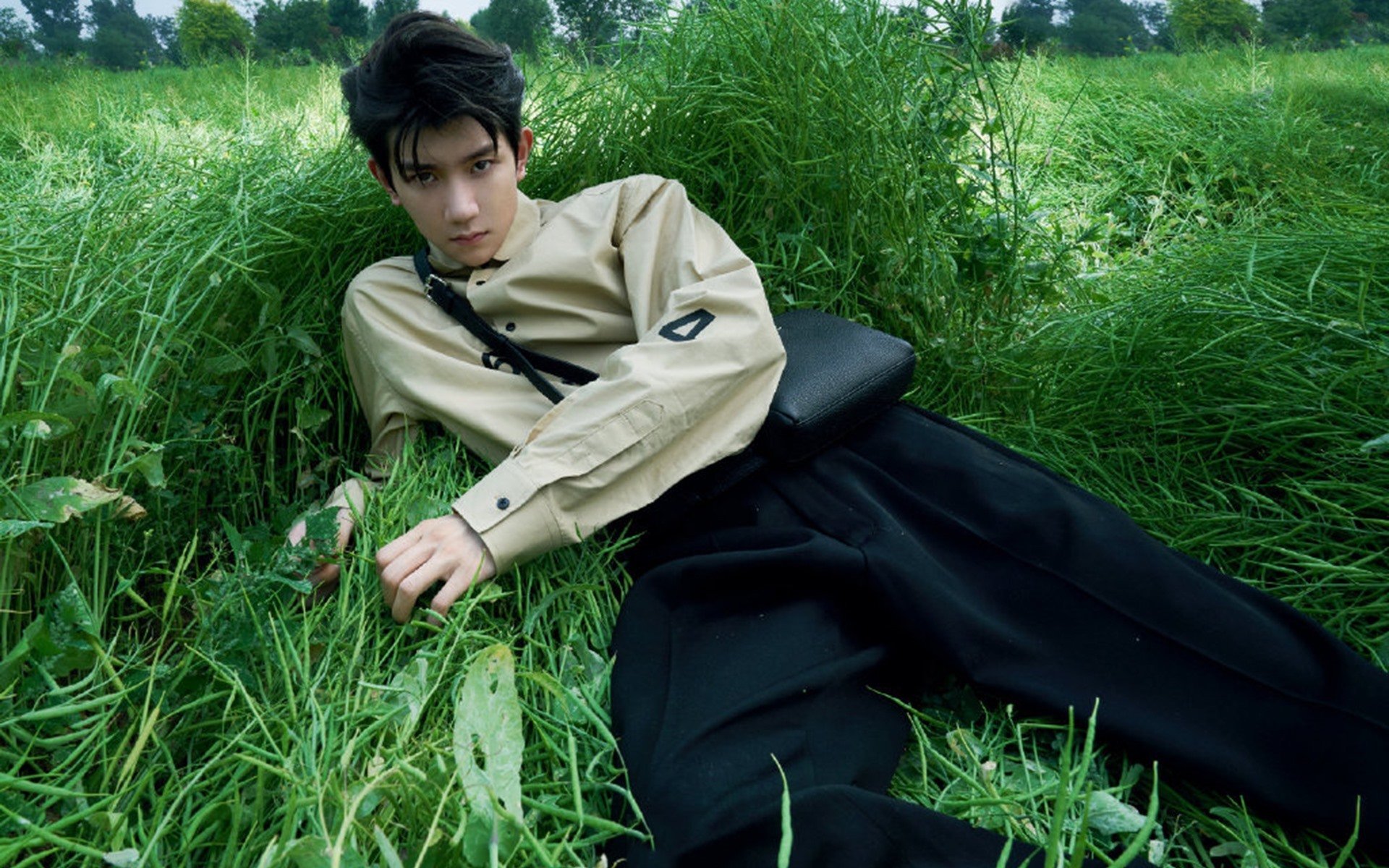 橙色火焰燃爆绿茵场，阿劳霍双响炮助荷兰三球完胜安哥拉